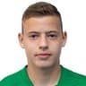 Vladyslav Krapyvtsov