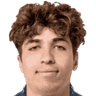 Mihai Lupan