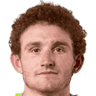 Josh Sargent 