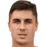 Nemanja Nikolić
