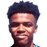 Bryce Hosannah