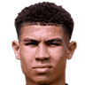 Jordi Paulina
