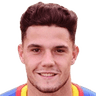 Nikola Tavares
