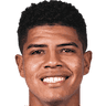 Wilder Cartagena 