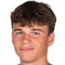 Sofus Berger