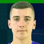 Semir Alic