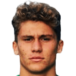 Stefano Piccinini