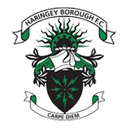 Haringey Borough